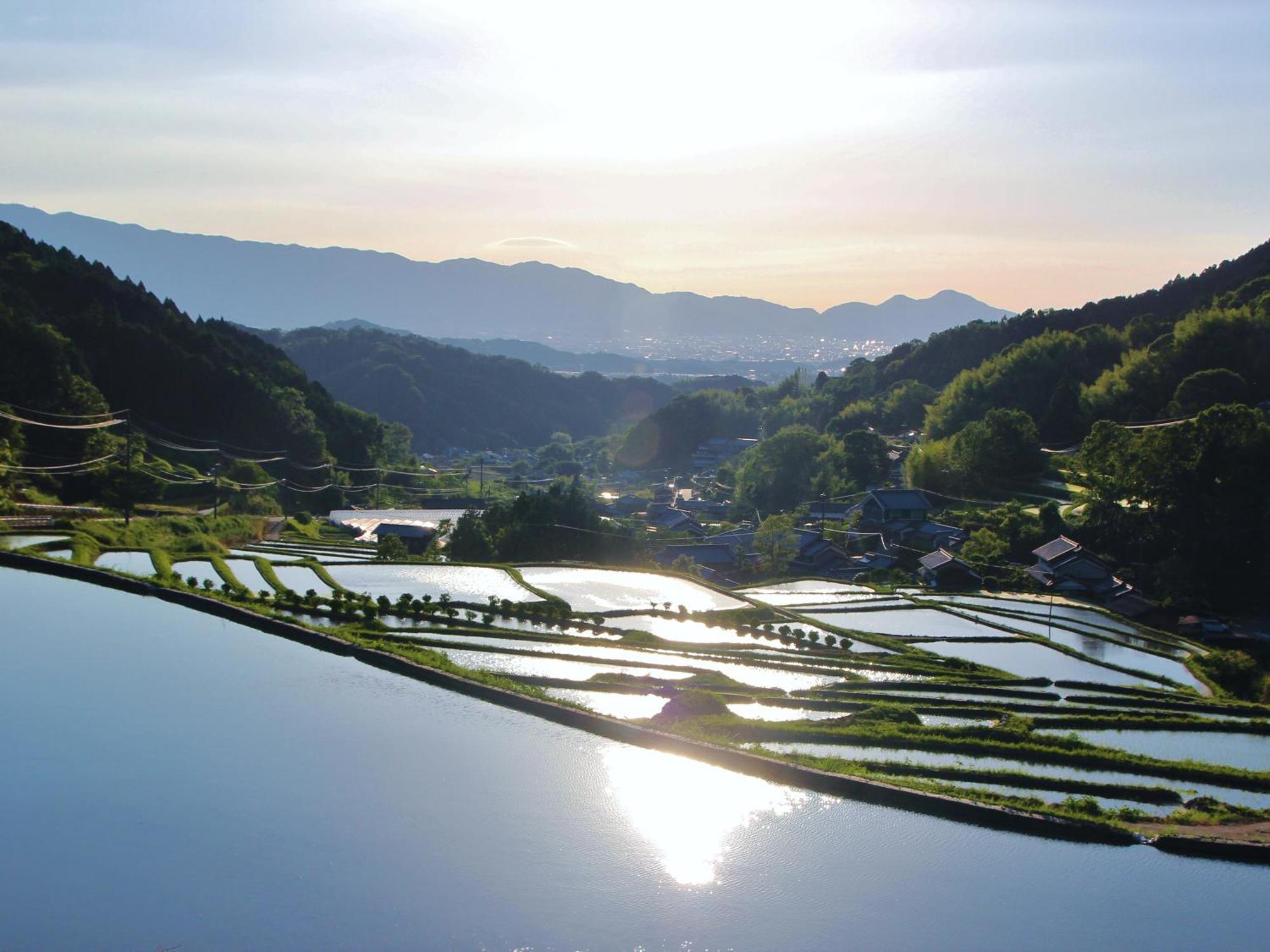 Grand Mercure Nara Kashihara Kashihara  Bagian luar foto