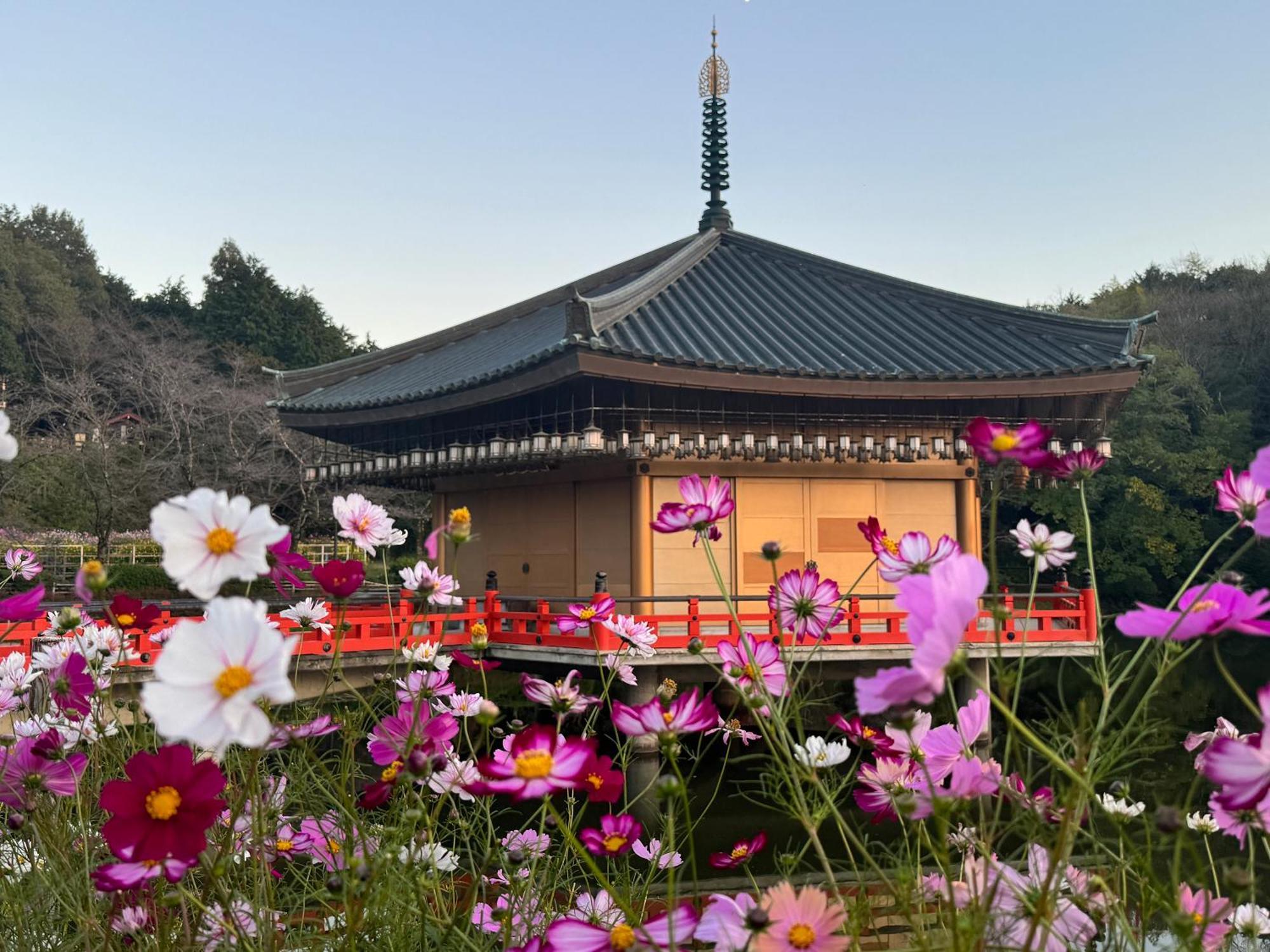 Grand Mercure Nara Kashihara Kashihara  Bagian luar foto