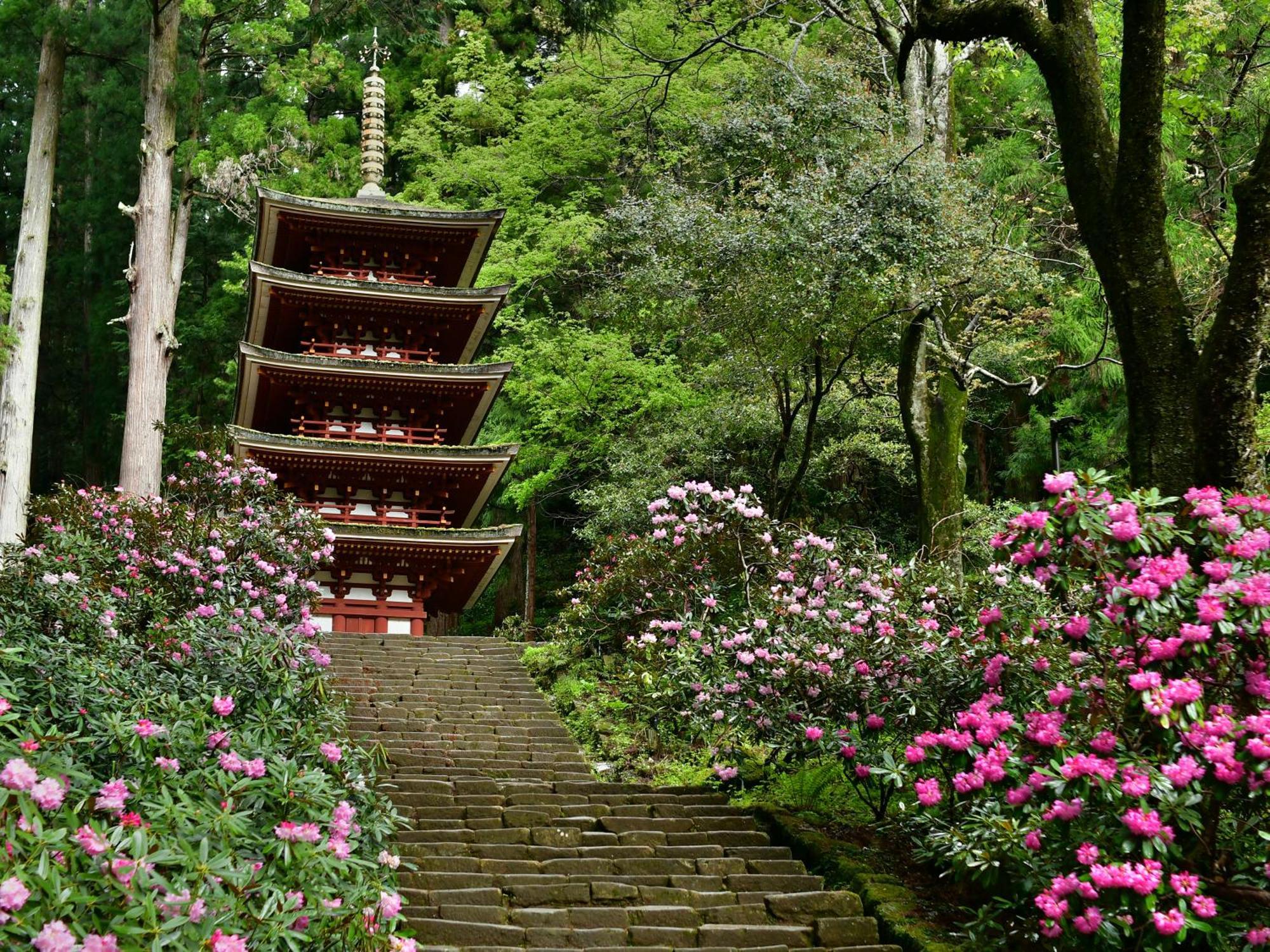 Grand Mercure Nara Kashihara Kashihara  Bagian luar foto
